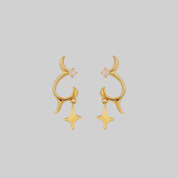 Astra. Abstract Waves & Stars Earrings Earrings