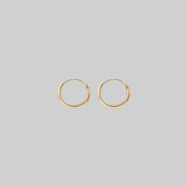 Tiny Gold Hoops Accessories & More