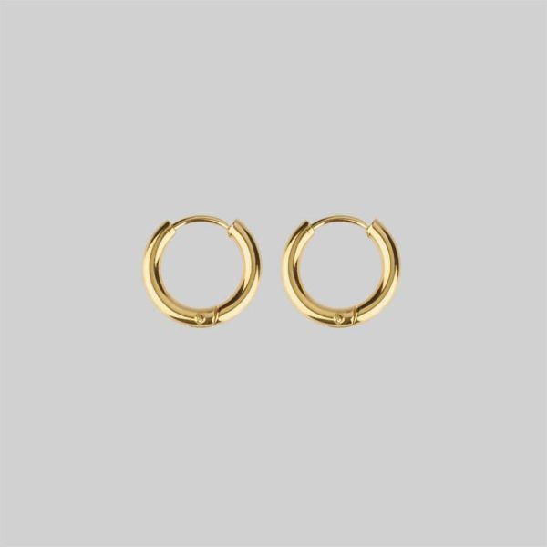 Vita. Hinge Huggie Hoop Earrings Accessories & More